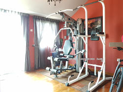 Chuan Ville (D19), Terrace #153982852